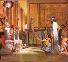 Вавилонският цар Хамураби и неговите закони. Кого защитиха законите на крал Хамураби?