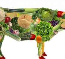 Вегетарианецът е ... Веган и вегетарианец: разлика, характеристики на храненето и интересни факти