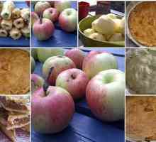 Унгарски ябълков пай и торта "Гербе"