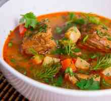 Унгарска супа-гюлаш: рецепта. Как да готвя унгарска супа от гюлаш?