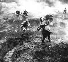 "Месомелачка Verdun" от Първата световна война. Какво се е случило във Вердун през 1916…