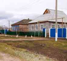 Горна Мамон е село, на което може да се гордее регионът Воронеж