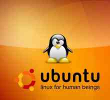 Версии на Ubuntu: общ преглед, функции, типове и отзиви. Как да разбера версията на Ubuntu?