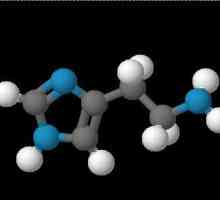 Съдържанието хистамин - какво е това?