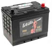`Vesta` - батерии за автомобили: видове, ревюта