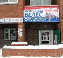 Ветклинич `Велес` в Обнинск: описание, услуги, ревюта
