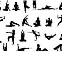 Видове йога: отличителни черти