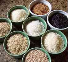 Видове ориз и тяхното използване при готвене