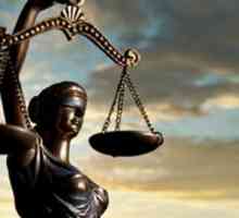 Видове санкции в наказателното право: концепцията, примерите за принципи.