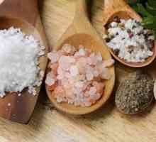 Видове сол: всичко, което трябва да знаете за солта