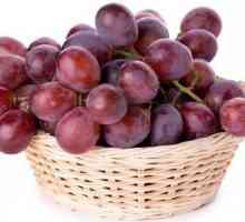 Вино от лидия грозде: готвене у дома