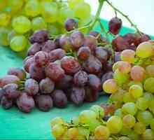 Грозде Kishmish: полза и вреда на плодове и ягодоплодни култури