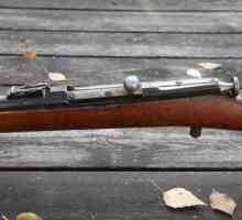 Rifle Berdana: спецификации и снимки. Обхватът на пушките Бердан