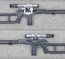 Снайперистка пушка VSK-94: описание, характеристики и прегледи