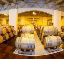 Винарна на територията на Краснодар: история, описание. Къде са най-добрите винарски изби на Кубан?