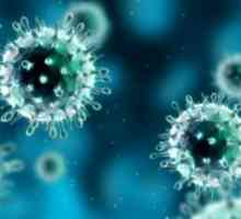 Вирус H1N1: симптоми, лечение и профилактика