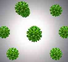 Вирус на заболяването: симптоми, начини на предаване, лечение и профилактика