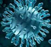 Coxsackie вирус в Anapa: признаци на проявление, симптоми и лечение