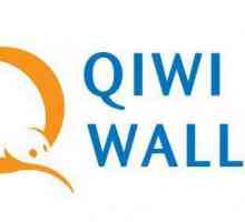 Портфейл VISA QIWI - какво е, регистрационни характеристики и отзиви
