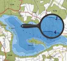 Вишневско езеро, регион Ленинград: описание, риболов, снимка