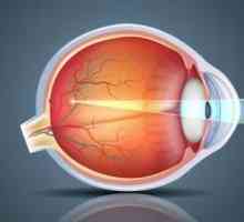 Витамин капки за очите - които са по-добре за глаукома, миопия. Какви са най-добрите витаминни…