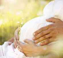 Витамини "Elevit": инструкции за употреба при бременност, състав, прегледи
