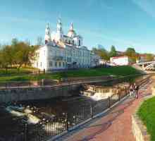 Витебск, население: национален състав и размер
