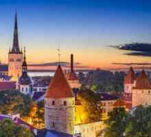 Естонски визов център в Москва: всичко, което трябва да знаете за него