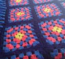 Ние плета един плетене на плетене от квадратчета: съвет за начинаещи needlewomen