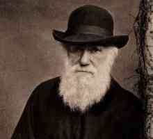 Приносът на Дарвин в биологията е кратък. Чарлз Дарвин допринася за развитието на биологията?