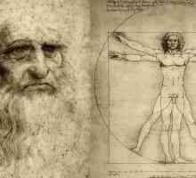Принос към развитието на анатомията на Леонардо да Винчи. Анатомия в скиците на Леонардо да Винчи