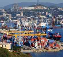 Търговско пристанище Владивосток и неговите дейности