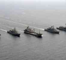 Военноморски флот на Турция: брой кораби, композиция и модернизация
