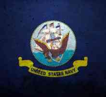 US Navy: организация и композиция. Руски и американски флот: сравнение