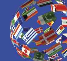 Външни икономически отношения: особености на международните отношения