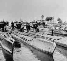 "Вълците на Дениз" и подводници на Третия райх