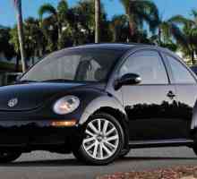 Volkswagen New Beetle: спецификации, описание и ревюта