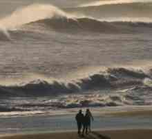 Вълни: видове вълни и дефиниране на вълна. Видове електромагнитни и звукови вълни