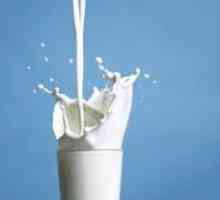Въпросът, който интересува не само децата: защо млякото е бяло?