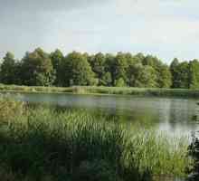 Регион Воронеж: езера за отдих и риболов