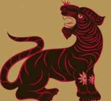 Източен хороскоп и неговите черти: Тигър-жена и Тигър-мъж - съвместимост е възможно?