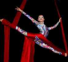 Въздушни платна - един от най-новите типове цирково изкуство