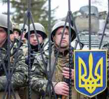 Възможно ли е да влязат войските в Украйна?