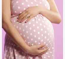 Възможно ли е да забременеете преди менструация, каква е вероятността?