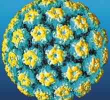 HPV при жените: опасните последствия от най-разпространения вирус