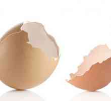 Увреждане и полза от обвивката на яйцата. Използване на яйчна черупка