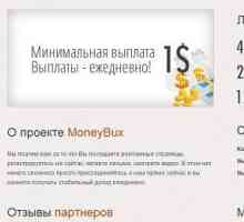 Всичко за сайта Moneybux: рецензии, характеристики, принцип на работа