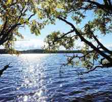 Всичко за езерото Goloredayskoye (район Ленинград): изберете място за риболов и отдих