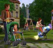 "Всички възрасти: Sims 3". `The Sims 3`: преглед, кодове, инсталация