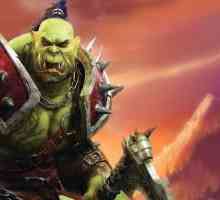 Warcraft вселената, хронологията на книгите: `раждане Ordy`,` Последно…